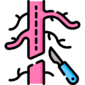 Vascular Surgery